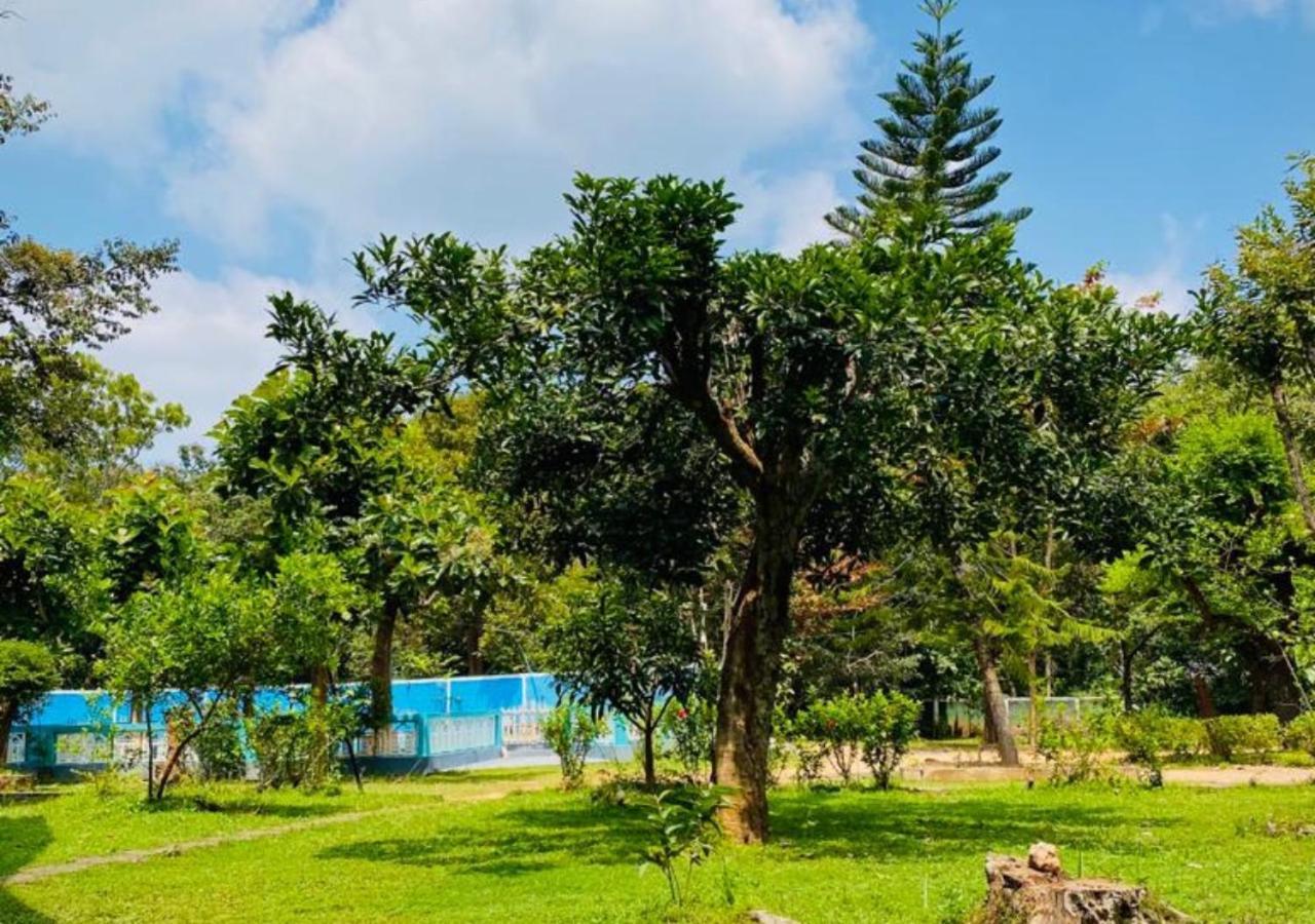 The Green Heaven Resort Sigiriya Exteriér fotografie